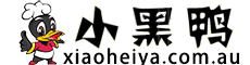澳洲小黑鸭